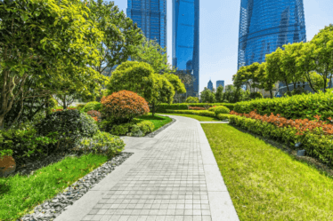 COMMERCIAL LANDSCAPING COMPANY