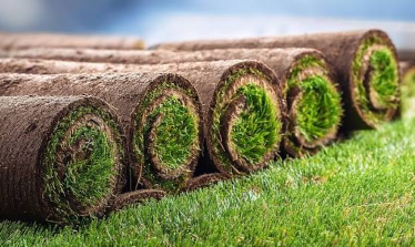 turf installation