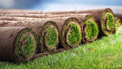 turf installation